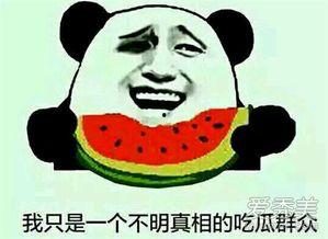 吃瓜群众意思解释,网络时代的旁观者与评论者