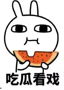 娱乐吃瓜酱谐音,酱意盎然